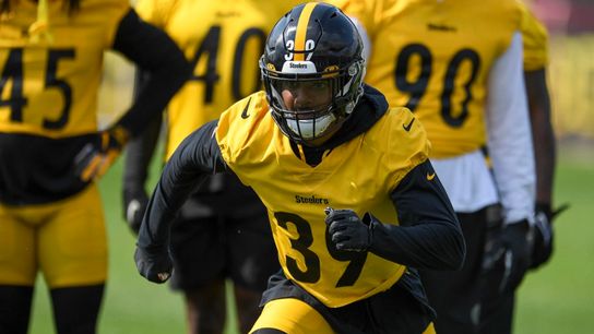 Butler: Fitzpatrick showing smarts, talent, versatility akin to Polamalu taken on the South Side (Steelers)